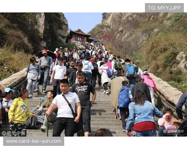 山东泰山急速推进抓住极佳时机 山东泰山急速推进抓住极佳时机