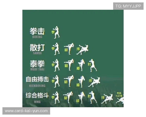 拳击训练营展示专业拳法动作