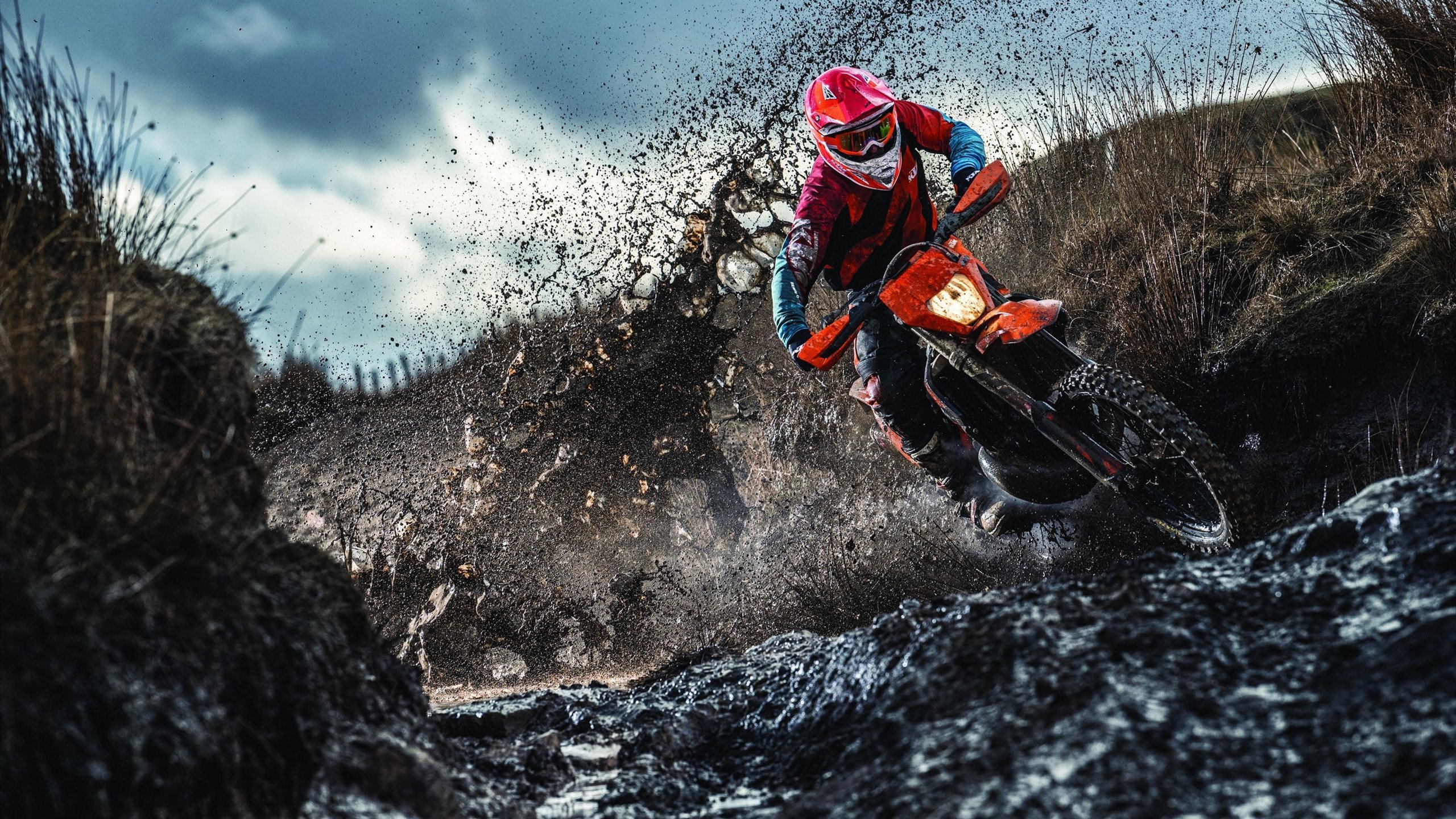 马术趣味障碍赛 低高度与彩色障碍为青少年而设